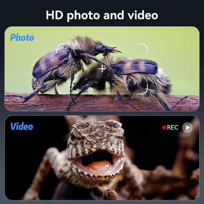 Microscope-LCD Digital Coin Microscope 500x, Coin Magnifier with 8 Adjustable LED Lights, PC View Compatible with Windows/MacBook,7 Inch