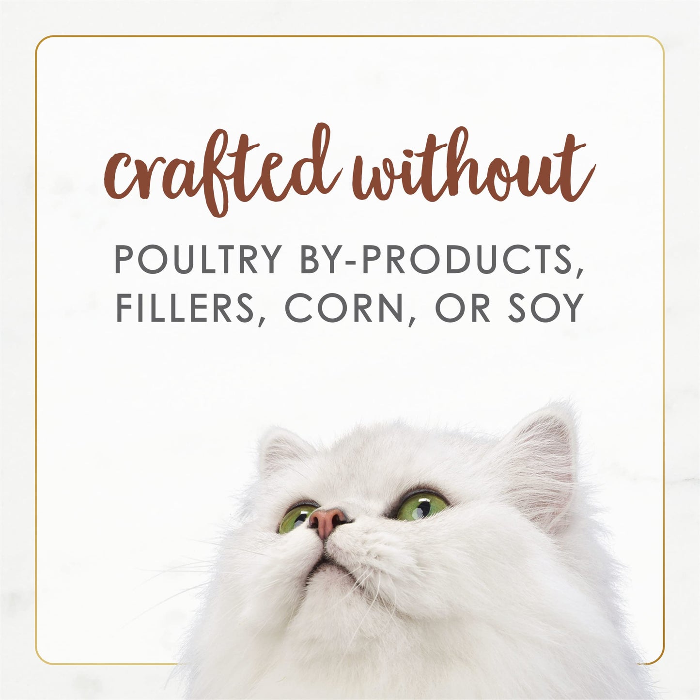 Purina Fancy Feast Wet Cat Food Natural Gourmet Naturals Beef Recipe in Wet Cat Food Gravy - (Pack of 12) 3 oz. Cans