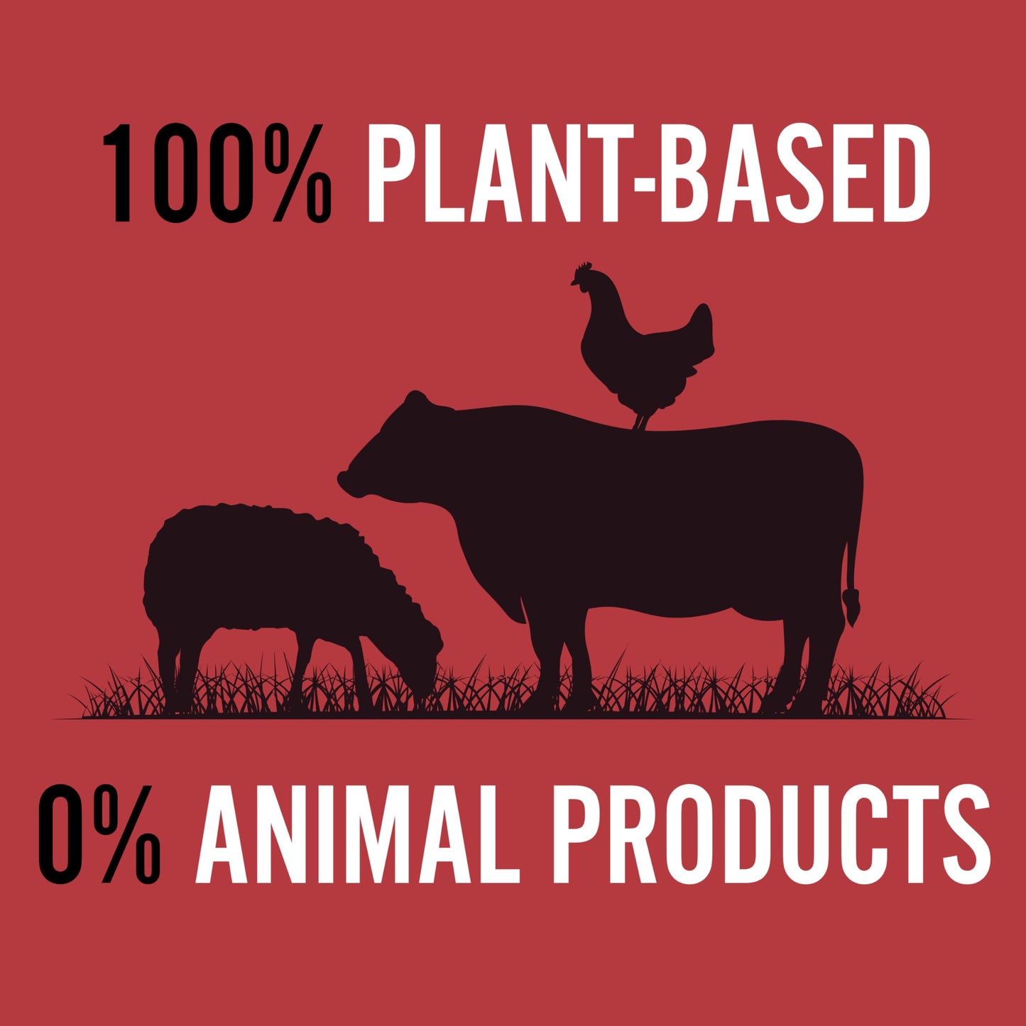 RAMEN EXPRESS Chicken Flavor Ramen Noodle Packs, 3 Oz Each (Pack Of 24) | Animal-free Ramen Noodles | All Plant-based | Made in U.S. with finest American flour