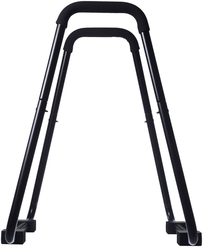 Amazon Basics Strength Training Dip Stand, Black