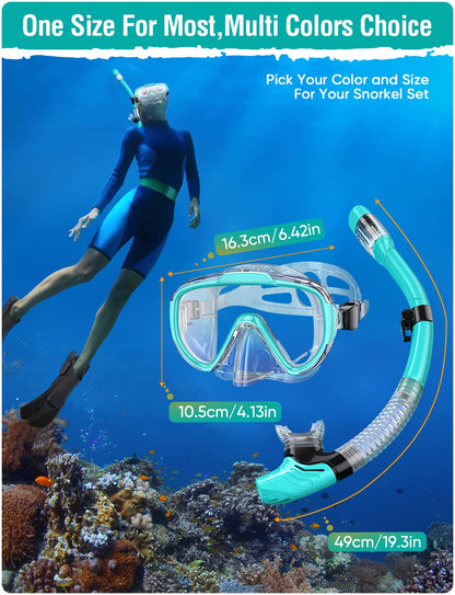 Seovediary Snorkel Set Adults Snorkeling Gear Anti-Fog Panoramic View Swim Mask Dry Top Snorkel Kit with Carry Bag for Snorkeling Scuba Diving Swimming Travel