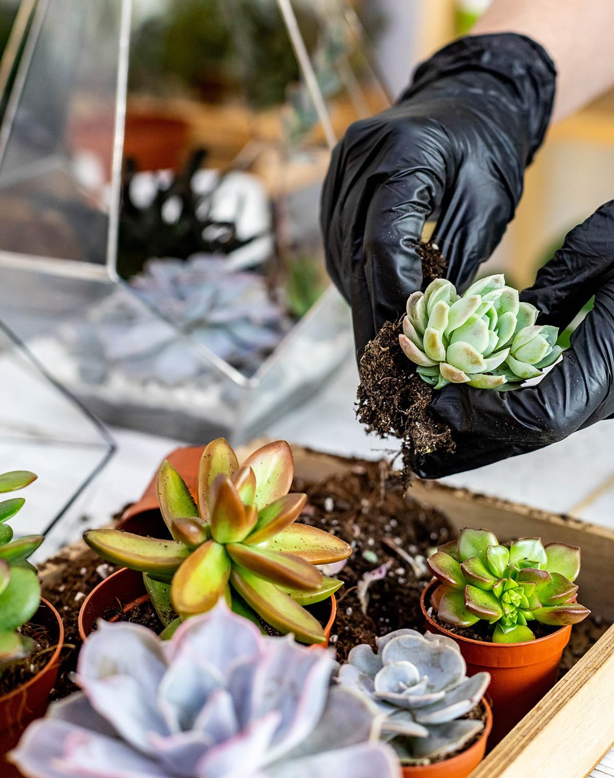 Melphoe 25Pcs Mini Garden Hand Transplanting Succulent Tools Set, 39.4" Thickened Repotting Mat & Plant Tag, Miniature Planting Indoor Fairy Care, Potting, Cactus, Houseplant Bonsai Tool Kit (Black)