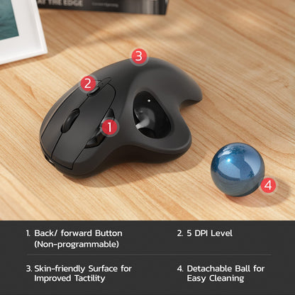 Nulea M501 Wireless Trackball Mouse, Rechargeable Ergonomic, Easy Thumb Control, Precise & Smooth Tracking, 3 Device Connection (Bluetooth or USB Receiver), Compatible for PC, Laptop, Mac, Windows.