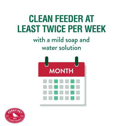 Perky-Pet Glass Hummingbird Feeders for Outdoors - Antique Bottle Style Bird Feeder - 10 Oz Humming Bird Feeders for Outdoor Garden Decor