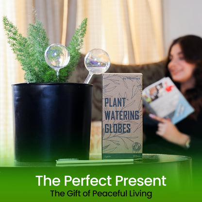2 Pcs Iridescent Self Watering Globes, Glass Rainbow Plant Watering Globes, Self Watering Planter Insert, Automatic Plant Waterer Indoor, Plant Watering Devices, Plant Water Globes, Watering Bulb