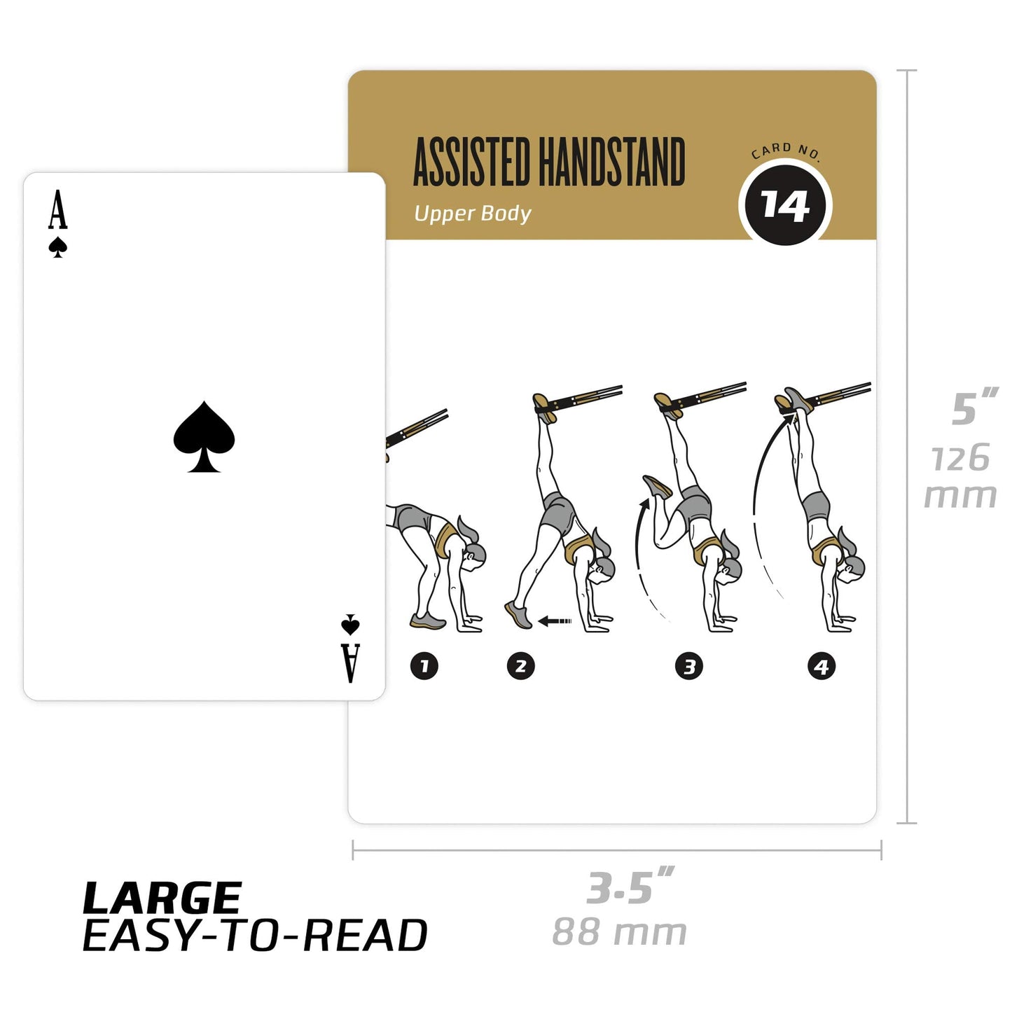 NewMe Fitness Suspension Workout Cards, Instructional Fitness Deck for Women & Men, Beginner Fitness Guide to Training Exercises at Home or Gym (Suspension, Vol 2)