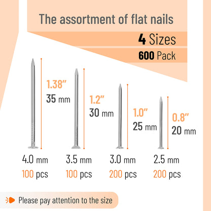 Mr. Pen- Nail Assortment Kit, 600 Pcs, 4 Sizes, Silver, Small Nails for Hanging Pictures, Finishing Nails, Gold Wall Nails for Hanging, Pin Nails, Hardware Nails, Assorted Nails, Galvanized Nails