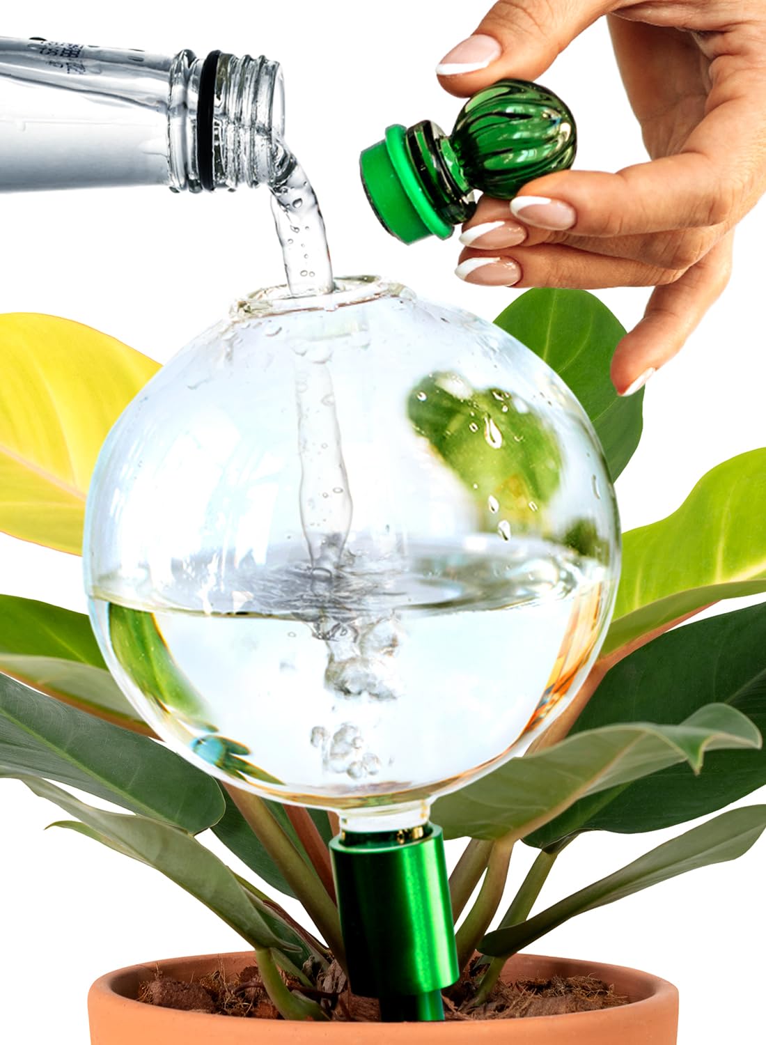 16 Oz Plant Watering Globes For Indoor Plants With Metal Self Watering Planter Insert - Premium XL Glass Hand-blown Globes - Automatic Indoor Planter Waterer, Gift Idea For Gardeners [1, Clear]