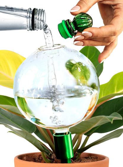 16 Oz Plant Watering Globes For Indoor Plants With Metal Self Watering Planter Insert - Premium XL Glass Hand-blown Globes - Automatic Indoor Planter Waterer, Gift Idea For Gardeners [1, Clear]
