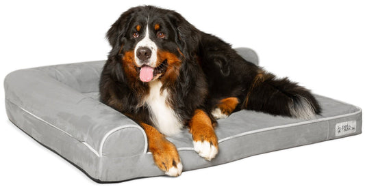 PetFusion BetterLounge Orthopedic Dog Bed | Solid CertiPUR-US Memory Foam, Waterproof liner | Medium / Large & XL | Removable Micro-Suede Cover Available Separately, 1 YR Warr,Grey