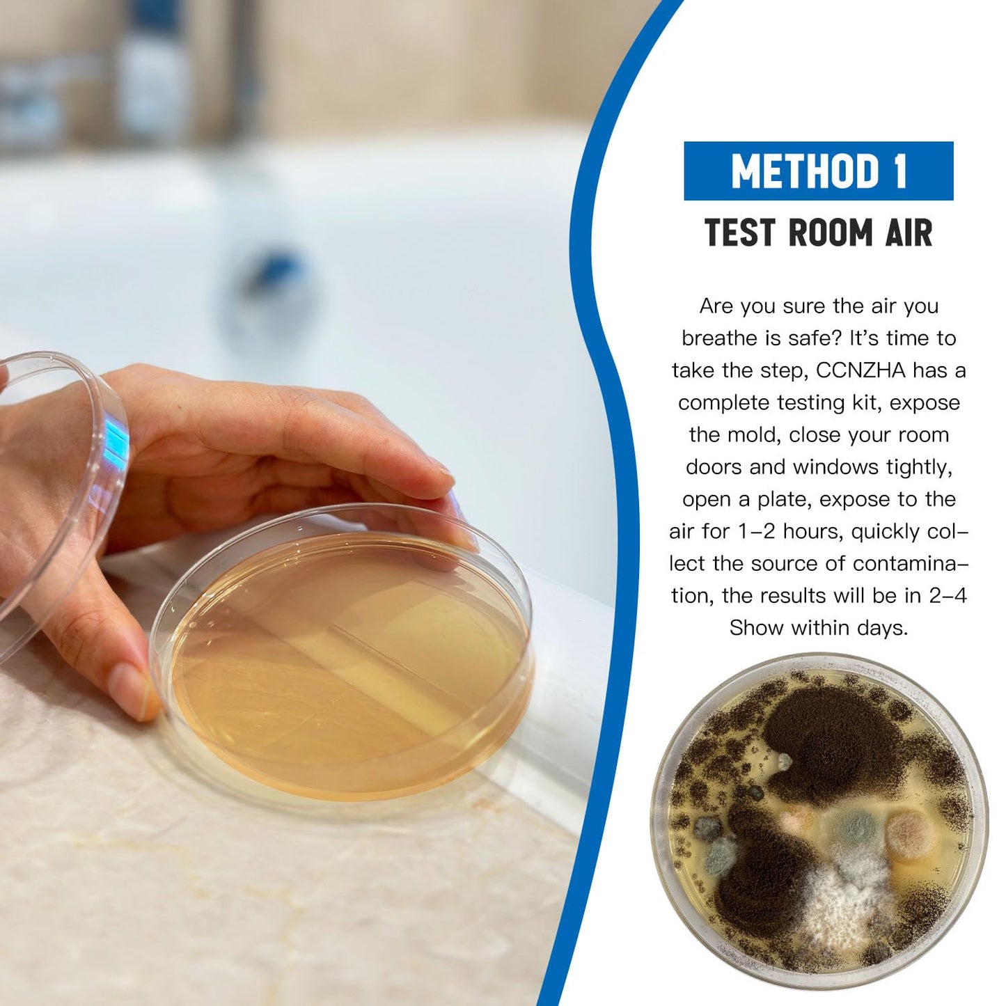 Mold Test Kit for Home -DIY Mold Testing Kit with 6 Individual Tests-Black Mold Detector-Indoor Air Quality Tester-Mold Identification Guide-Free Lab Analysis-Fast and Reliable Mold Detector at Home