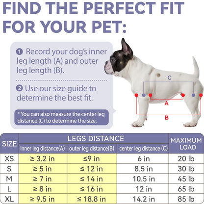 Loflaze Dog Grooming Hammock Harness for Dogs & Cats with Pet Nail Clipper Trimmer - Cat Hanger Sling for Trimming Clipping Nails- Dog Hammock Restraint Bag for Small Medium Large pet （ Grey S ）