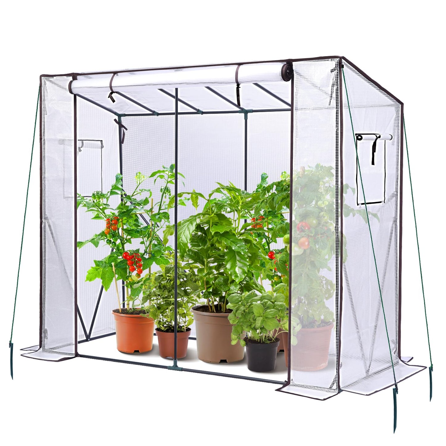 Ohuhu Tomato Greenhouse for Outdoors: Portable Lean to Green House Heavy Duty with Roll-Up Zippered Door, Tall Plastic Greenhouses for Outside Plants Growing Shed Tent for Backyard, 6.6x2.5x5.6 FT