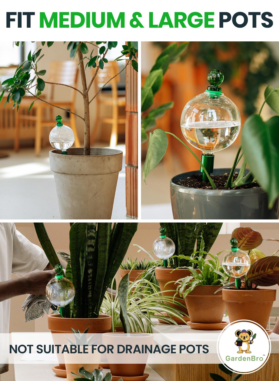 16 Oz Plant Watering Globes For Indoor Plants With Metal Self Watering Planter Insert - Premium XL Glass Hand-blown Globes - Automatic Indoor Planter Waterer, Gift Idea For Gardeners [1, Clear]