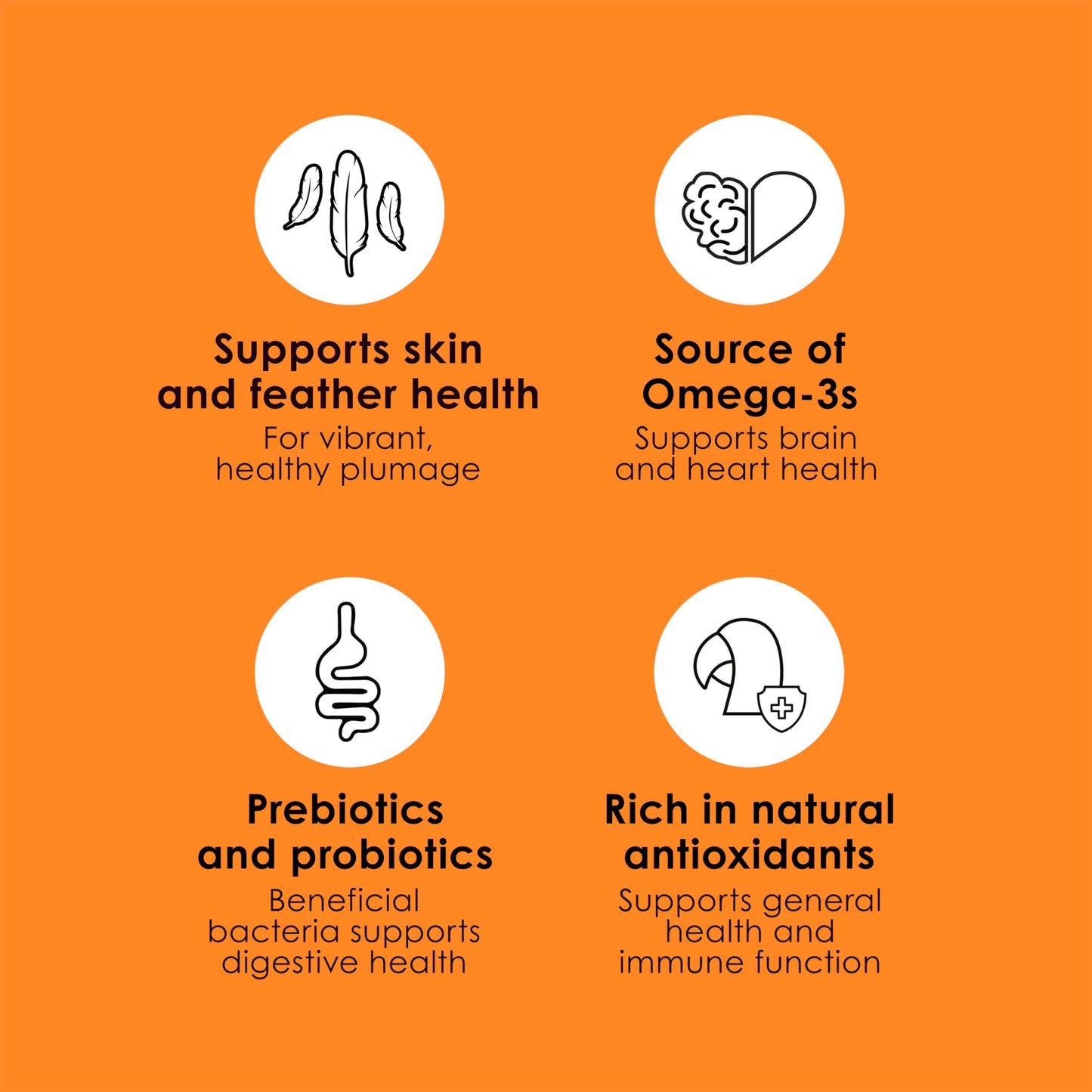 Kaytee Fiesta Parrot Food, Nutritious and Fun Blend, Supports Skin, Feather, Digestion, Brain and Heart Health, 4.5 pounds