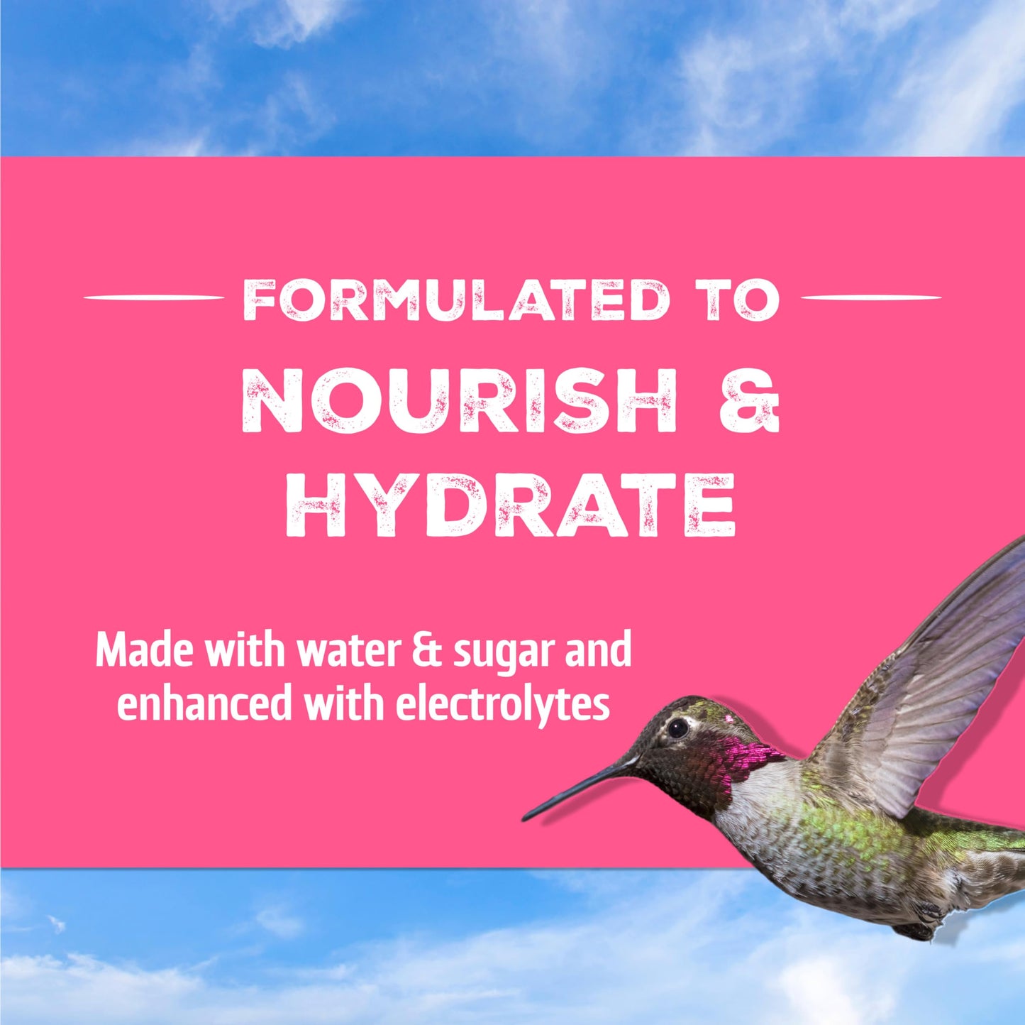 Pennington 100543828 ElectroNectar Hummingbird Food Ready to Use, Clear