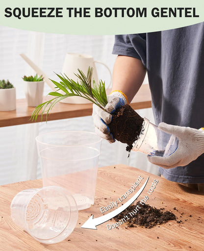 homenote Clear Nursery Pots for Plant,3/4/5 Inch Plant Pot for Planting Plastic Seedling with Drainage Holes Seed Starter Flower High Transparency 20 Labels Excellent Hardness(30 Pack)