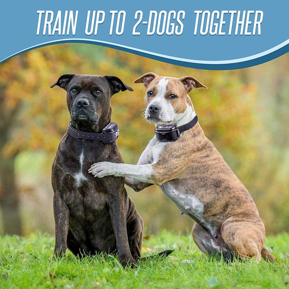 Pet Union PT0Z1 Premium Dog Training Shock Collar, Fully Waterproof, 1200ft Range (Charcoal)