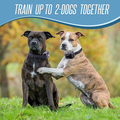 Pet Union PT0Z1 Premium Dog Training Shock Collar, Fully Waterproof, 1200ft Range (Charcoal)