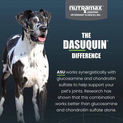 Nutramax Laboratories Dasuquin with MSM Soft Chews Large Dog 84 Count, brown
