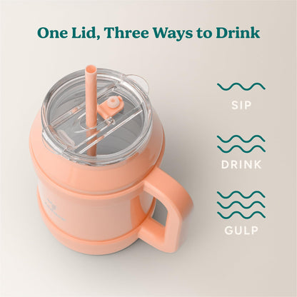 REDUCE Cold1 50 oz Reusable Mug Tumbler with Handle - Insulated Stainless Steel Water Bottle for Home, Office and Gym; Straw or Leakproof Flip Lid, Keeps Drinks Ice Cold All Day - Gloss Sedona