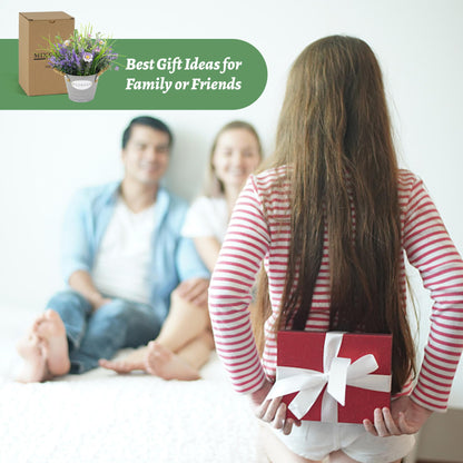 MIXROSE Fake Plants Purple Lavender Flowers in Pot 10" Tall Faux Artificial Potted Plant Greenery for Home Office Patio Coffee Table Farmhouse Aesthetic Bedroom Bathroom Decor