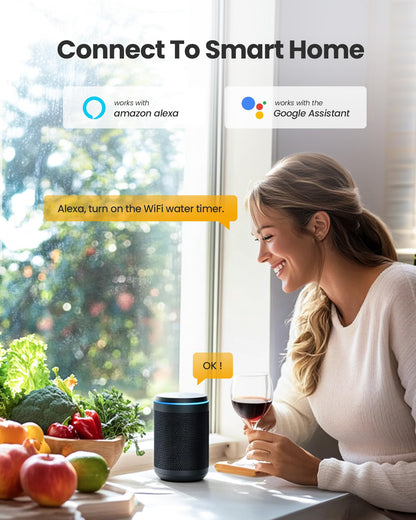 RAINPOINT WiFi Water Timer, Smart Hose Timer WiFi Irrigation Controller, Wireless Watering System Valve, APP & Voice Control, Weather-Based Automatic Rain Delay, Brass Inlet