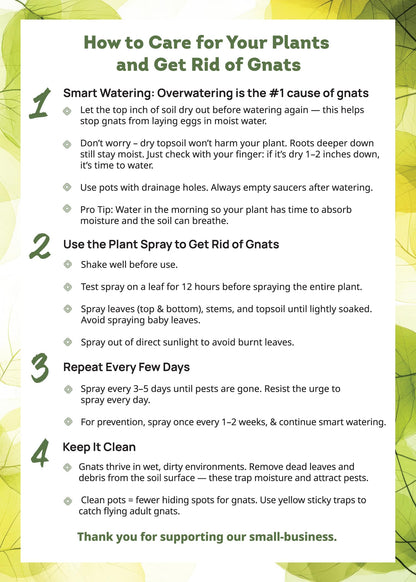 Kate's Home & Garden Plant Spray for Insects & Getting Rid of Gnats with 12 Sticky Traps. Fungus Gnat Killer & Bug Spray for Indoor Plants (16oz, Pet Safe, Non Toxic)