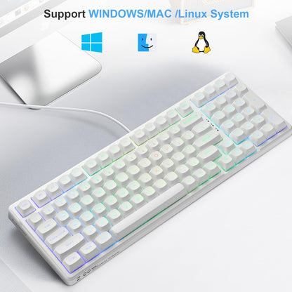 HUO JI E-Yooso Creamy Mechanical Keyboard Wired, Hot Swappable, Pre-lubed Linear Switches, Gasket Structure with Sound Dampening Foam, RGB Backlit, 99 Keys Custom Gaming Keyboard for PC/Mac,White