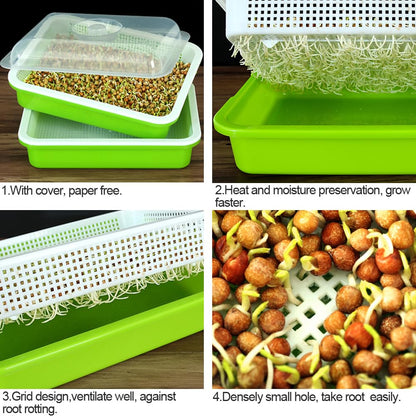 LeJoy Garden Seed Sprouter Tray BPA Free PP Soil-Free Big Capacity Healthy Wheatgrass Grower with Lid Sprouting Kit 13.4x9.84x4.72 inches