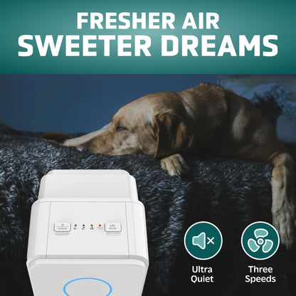 GermGuardian Air Purifier for Homes with Pets, H13 Pet HEPA Filter, Removes Pet Dander, Dust, Allergens, Smoke, Pollen, Odors, Mold, UV-C Light Helps Reduce Germs, 22 Inch, White, AC4300WPT