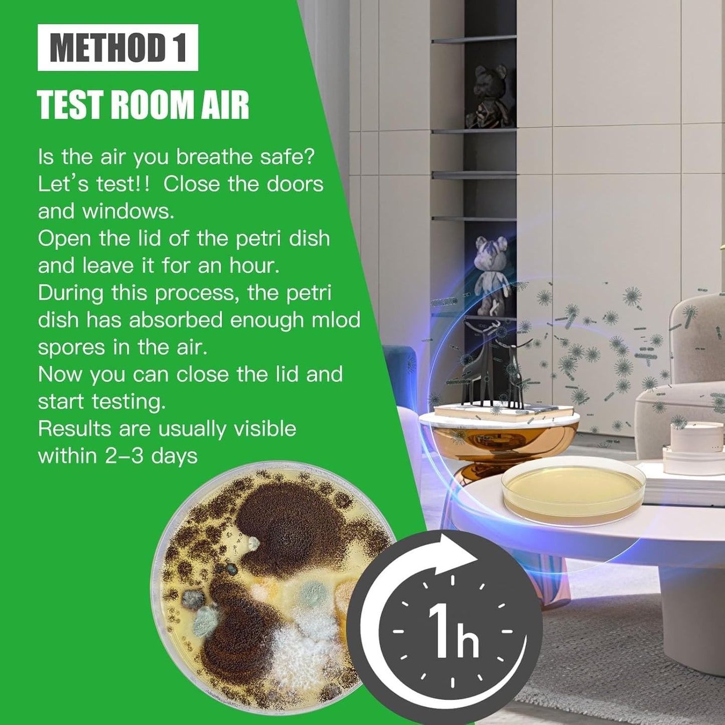 Mold Test Kit for Home Within 6 Individual Tests,DIY Detector at Home,Surface Mold,HVAC,Indoor Air Quality Testing Kits,Black Mold Testing,Includes Detailed Mold Identification Guide and Free Lab