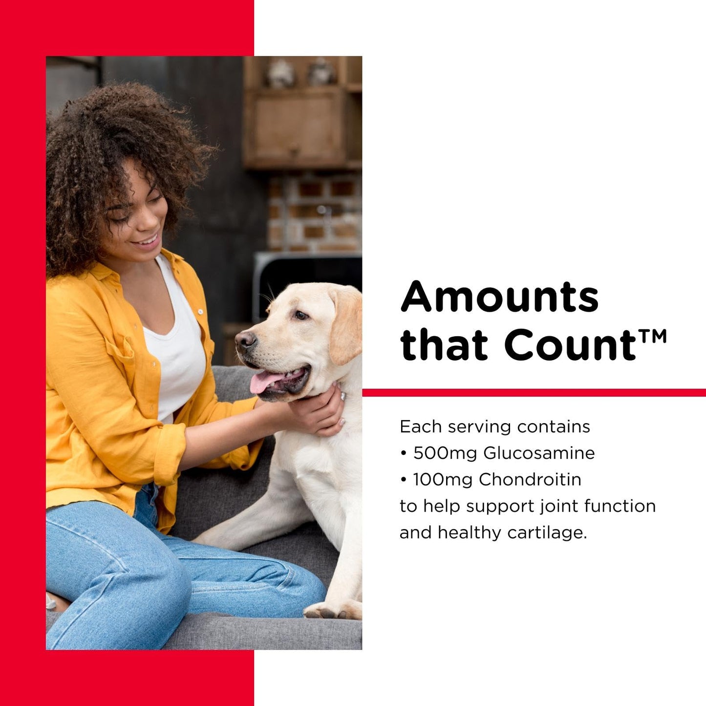 Nutri-Vet Hip & Joint Regular Strength Chewable Dog Supplements, Formulated with Glucosamine Chondroitin, Pet Supplies, Joint Supplement for Dogs, Puppy Essentials, 120 Count