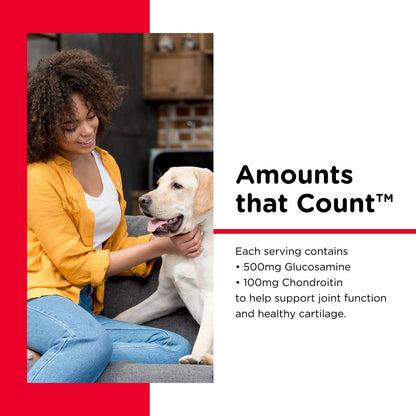 Nutri-Vet Hip & Joint Regular Strength Chewable Dog Supplements, Formulated with Glucosamine Chondroitin, Pet Supplies, Joint Supplement for Dogs, Puppy Essentials, 120 Count