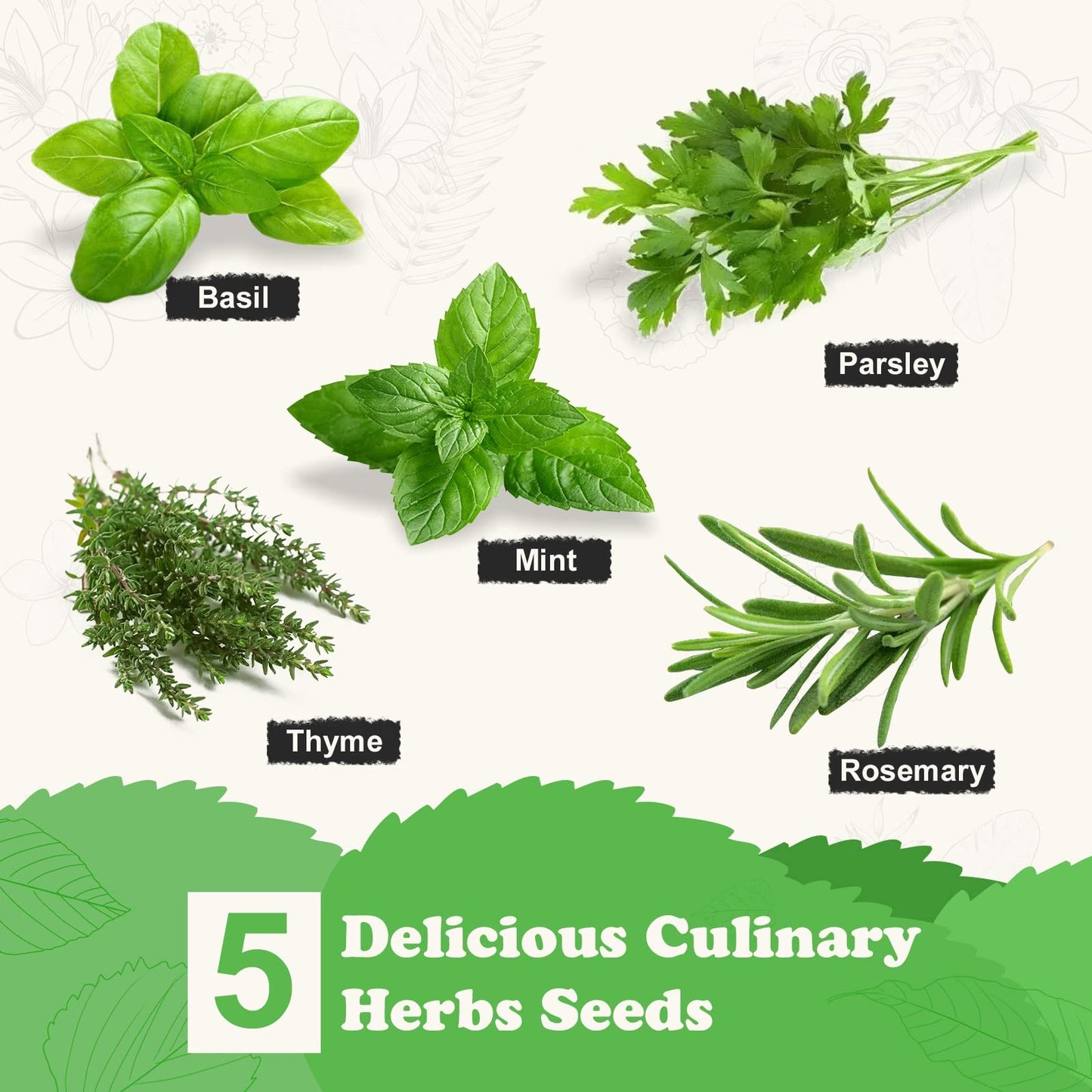 Meekear Indoor Herb Garden Starter Kit, 5 Non-GMO Herb Seeds - Basil, Parsley, Rosemary, Thyme, and Mint with Complete Planting Set for Kitchen Herb Garden DIY