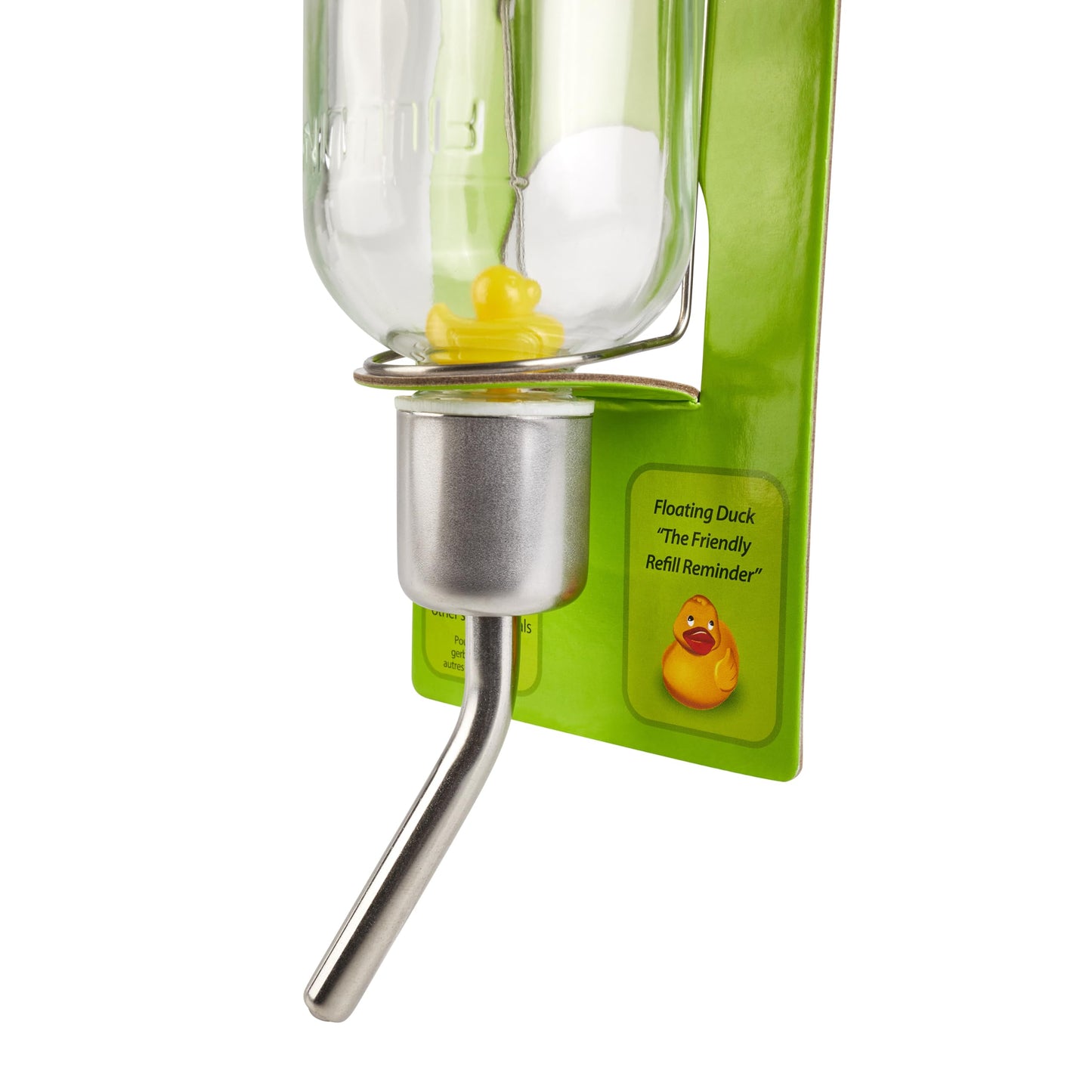 Kaytee Chew-Proof Water Bottle for Pet Ferrets and Rabbits, 26 oz