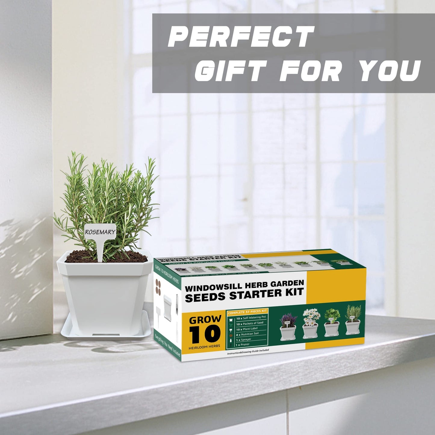 Meekear 10 Herb Seeds Garden Starter Grow Kit with White Pots, Markers, Nutritional Soil, Watering, Herb Clipper, Complete Indoor Potted Plant Growing Set for Kitchen DIY