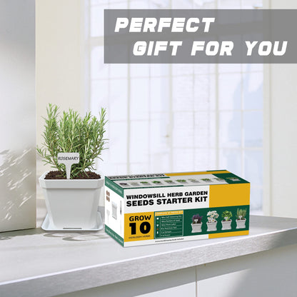 Meekear 10 Herb Seeds Garden Starter Grow Kit with White Pots, Markers, Nutritional Soil, Watering, Herb Clipper, Complete Indoor Potted Plant Growing Set for Kitchen DIY