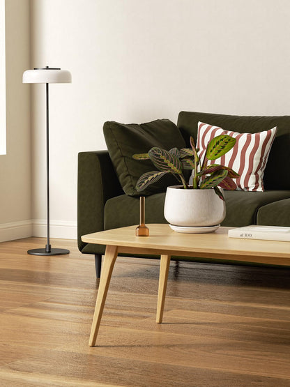 LE TAUCI Plant Pots, 4.1+5.1+6.5 inch, Set of 3, Ceramic Planters with Drainage Hole and Saucer, Indoor Flower Pot with Hole Mesh Pad, Gifts for Mom, Reactive Glaze Beige