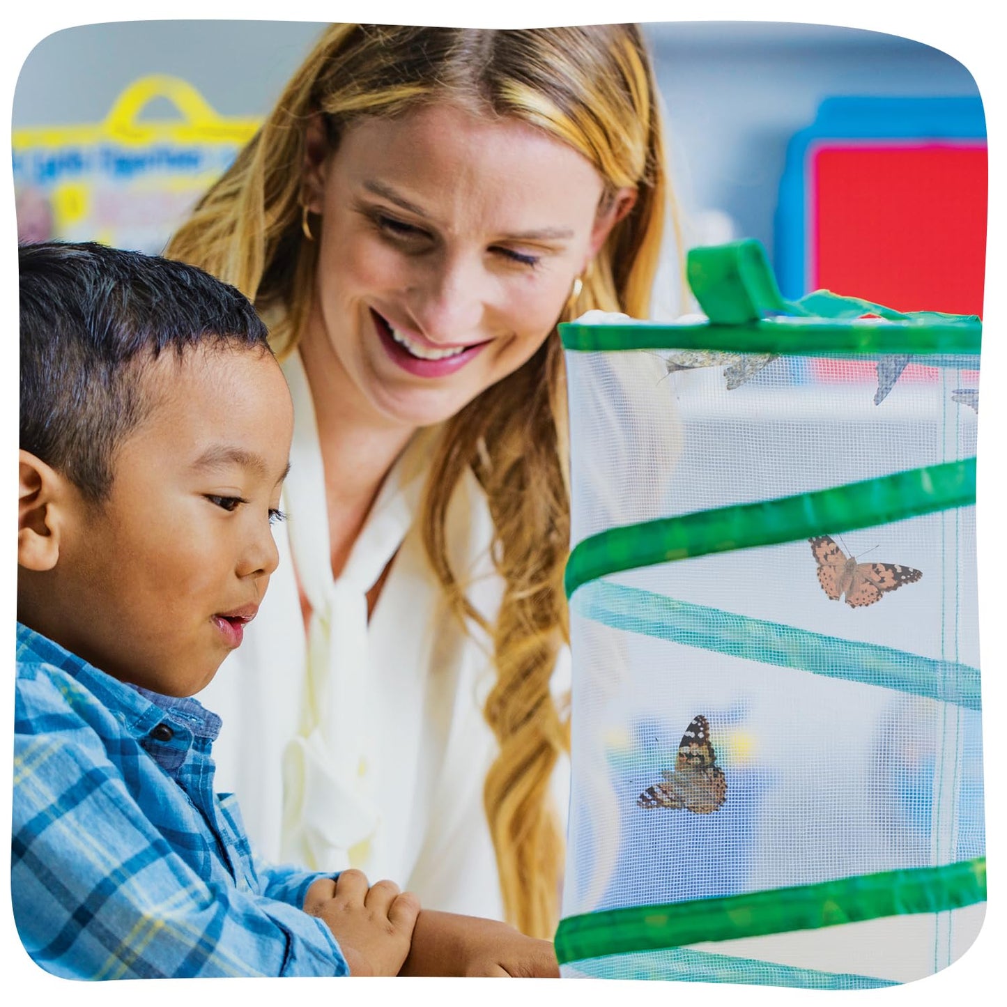 Insect Lore Raise and Release Butterfly Garden Kit – Caterpillar Habitat with redeemable Voucher – STEM-accredited Live Butterfly Growing Kit for Kids, Classrooms, and Homeschool Learning