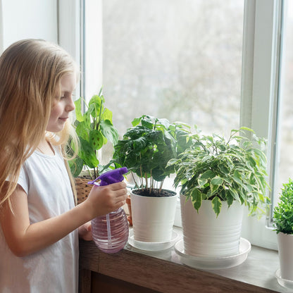 MUDEELA 6 Pack of 6 Inches Plant Saucers for Indoor, Durable Plastic Round Plant Tray Plant Dish Pant Plate to Catch Water for Flower and Plant Pot, Thicker, Stronger, Deeper, Clear