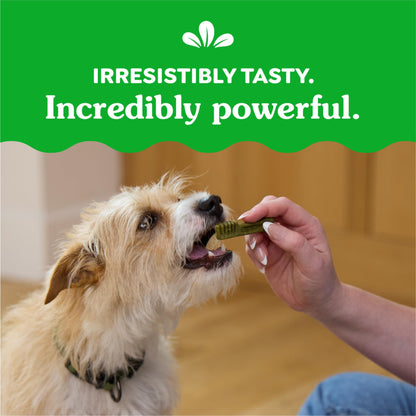 Greenies Original Teenie Dental Dog Treats, 36 oz. Pack (130 Treats)