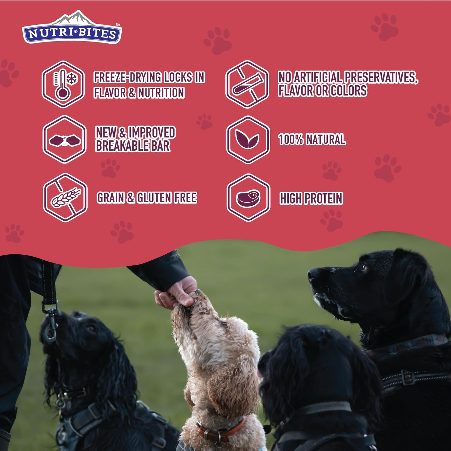 NutriBites Freeze Dried Beef Recipe Dog & Cat Treats, 4oz | Healthy Pet Training Treats or Food Topper | All Natural, Single Ingredient, High Protein | Great for Puppy, Small, Medium, or Large Breeds