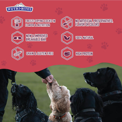 NutriBites Freeze Dried Beef Recipe Dog & Cat Treats, 4oz | Healthy Pet Training Treats or Food Topper | All Natural, Single Ingredient, High Protein | Great for Puppy, Small, Medium, or Large Breeds