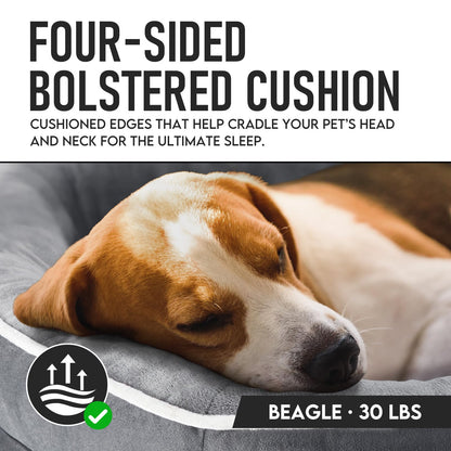 OhGeni Orthopedic Dog Couch Pet Sofa Large Sized Cat Beds with Comfort Foam Support, Soft Comfortable Fabric, Machine Washable Waterproof Removable Cover, 35-Inch (Gray)