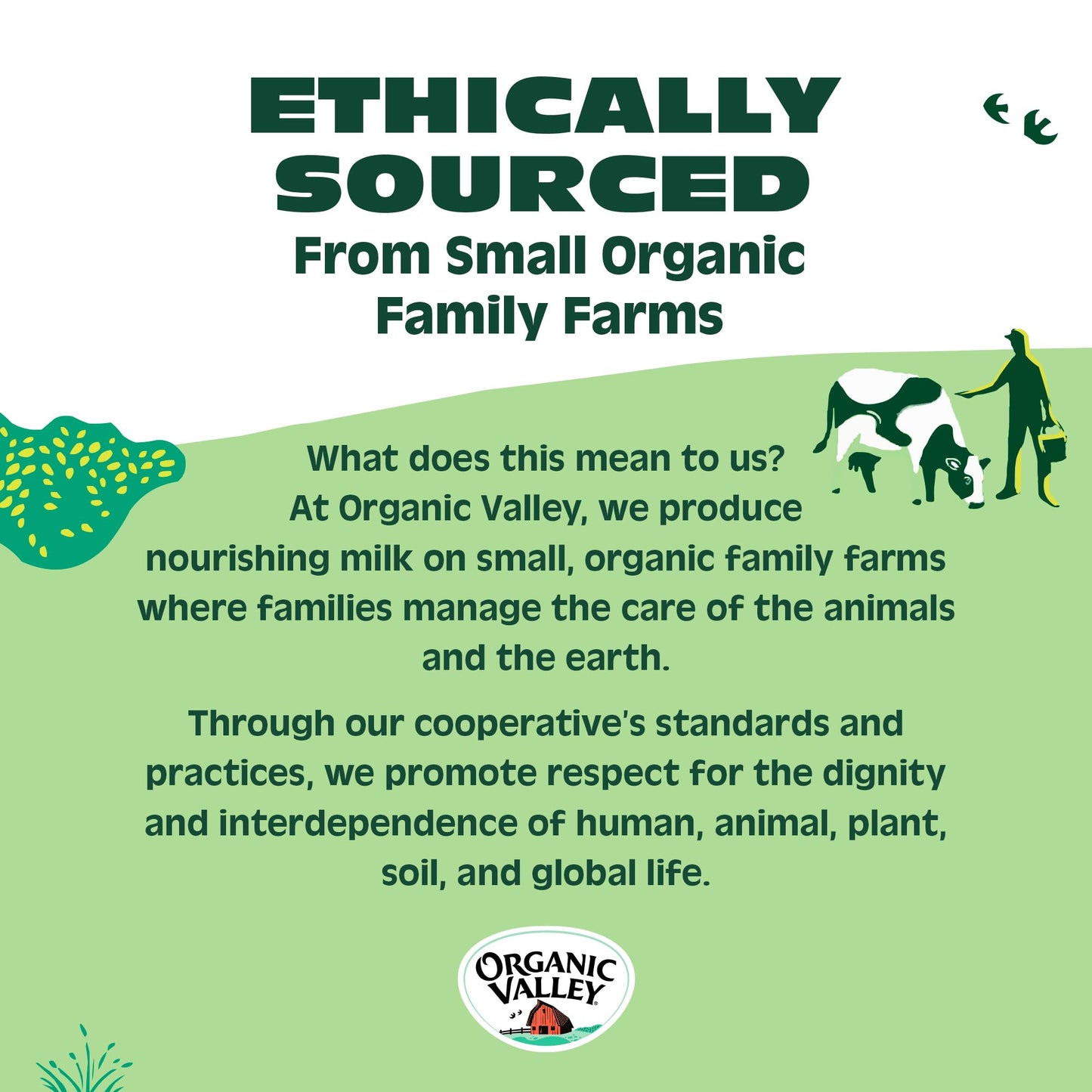 Organic Valley Grassmilk Raw Sharp Cheddar Cheese Block, 8 Oz