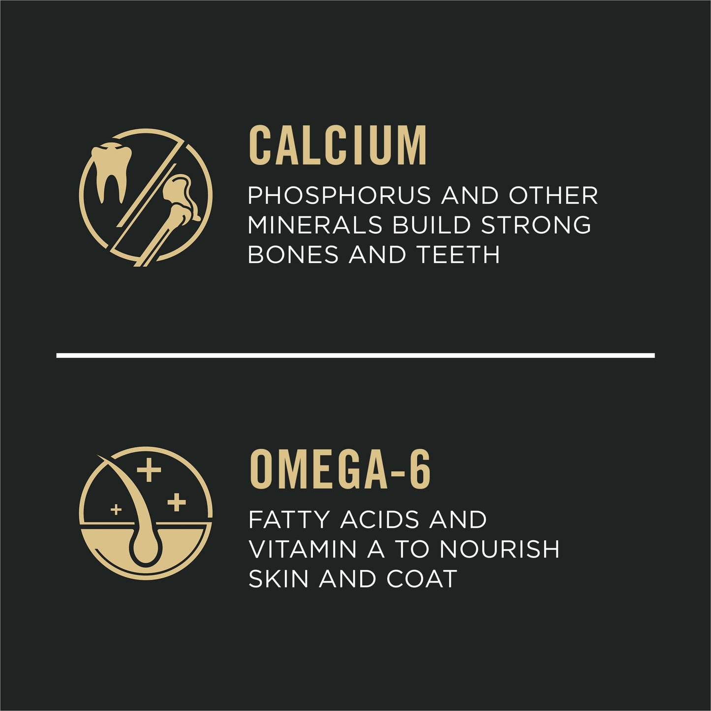 Purina Pro Plan Large Breed Dry Puppy Food, Chicken and Rice Formula - 34 lb. Bag