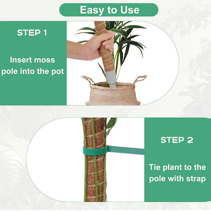 3 Pack Moss Pole, 30 Inch Monstera Plant Support， Moss Poles for Climbing Plants Indoor DIY, Coco Coir Plant Pole Moss Plant Stick Support Stake Kit for Potted Plants, Pothos, Philodendron