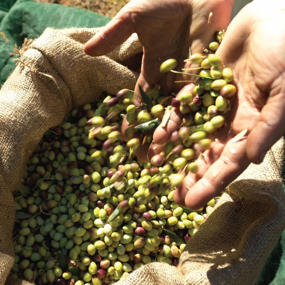 Iliada Kalamata PDO Extra Virgin Olive Oil, 3Lt | Multi-Awarded | Single Region 100% Greek | Monovarietal Koroneiki | Cold Press | Polyphenol Rich | Chef's Favorite