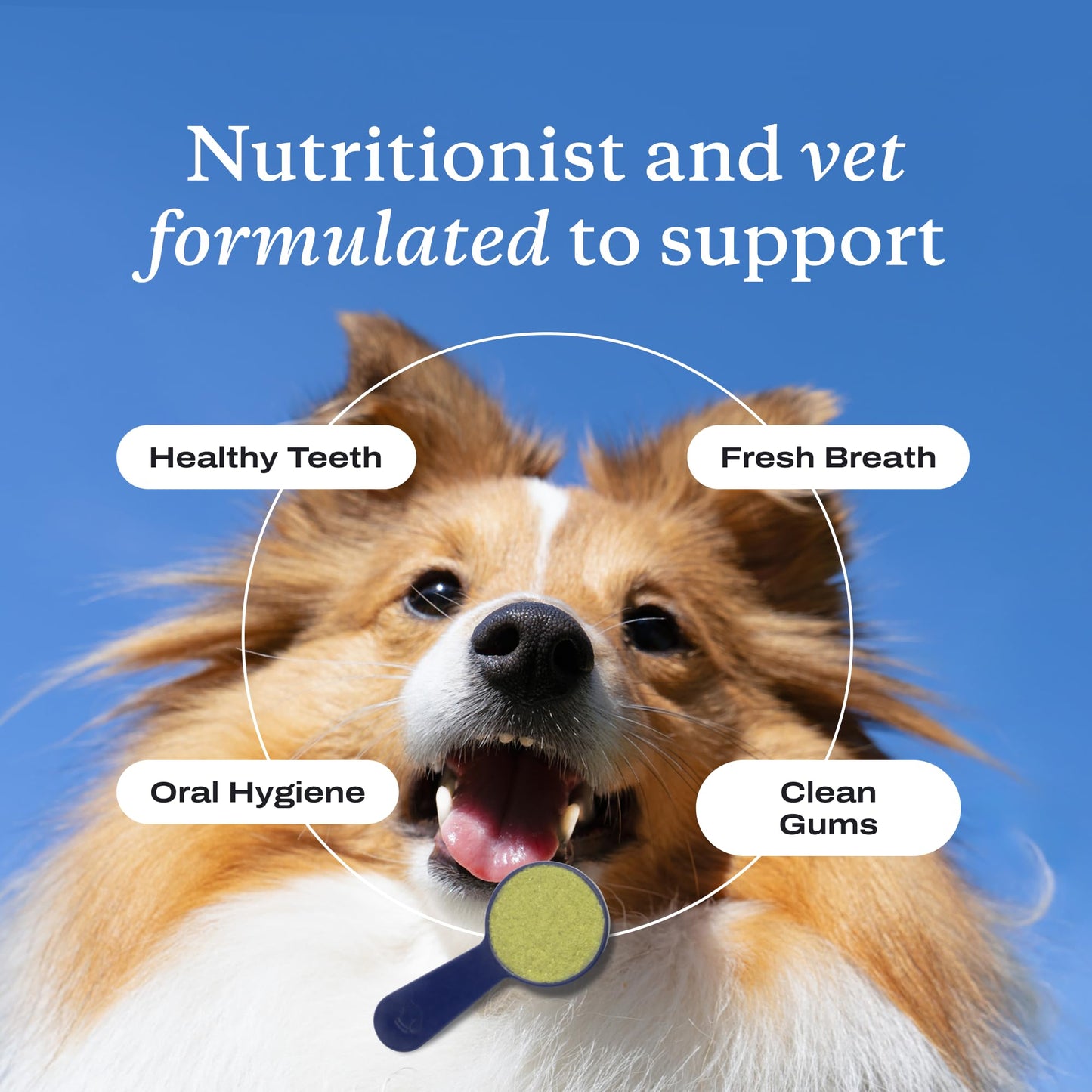 PetLab Co. ProBright Dental Powder - Dog Breath Freshener - Teeth Cleaning Made Easy – Targets Tartar & Bad Breath - Formulated for Small Dogs - Packaging May Vary